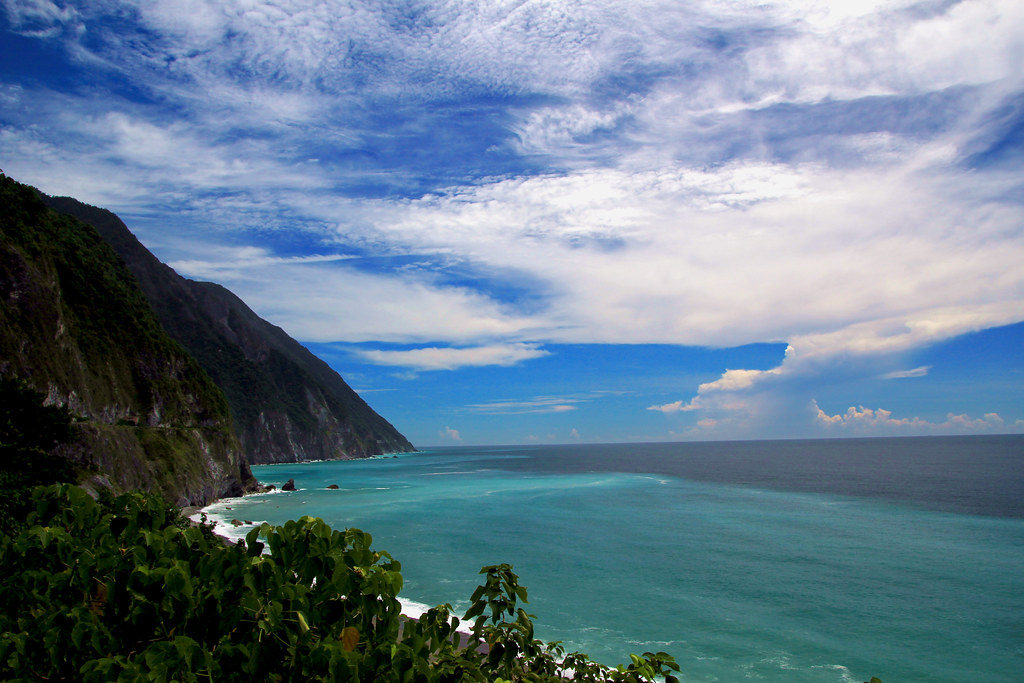 台灣賞鯨景點 台灣賞鯨 宜蘭賞鯨 花蓮賞鯨 台東賞鯨 龜山島 花蓮港 成功港 宜蘭 花蓮 台東 龜山島賞鯨 花蓮港賞鯨 成功港賞鯨
