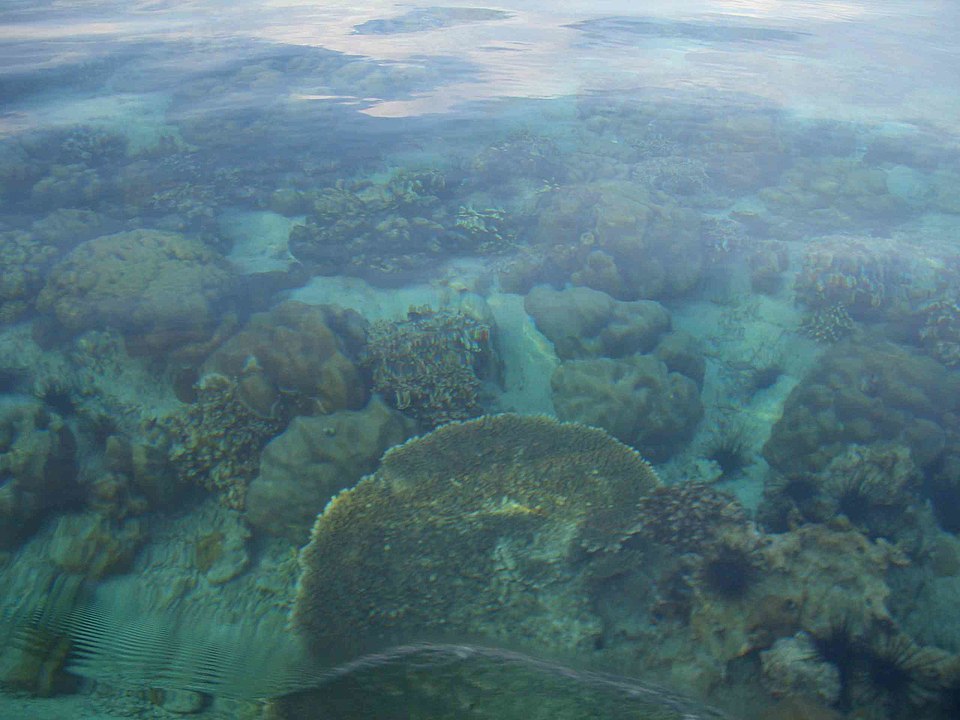 Koh Lipe 泰國麗貝島 麗貝島行程 麗貝島景點 麗貝島住宿 麗貝島酒店 麗貝島飯店 麗貝島浮潛 麗貝島4日3夜 麗貝島交通 麗貝島合艾