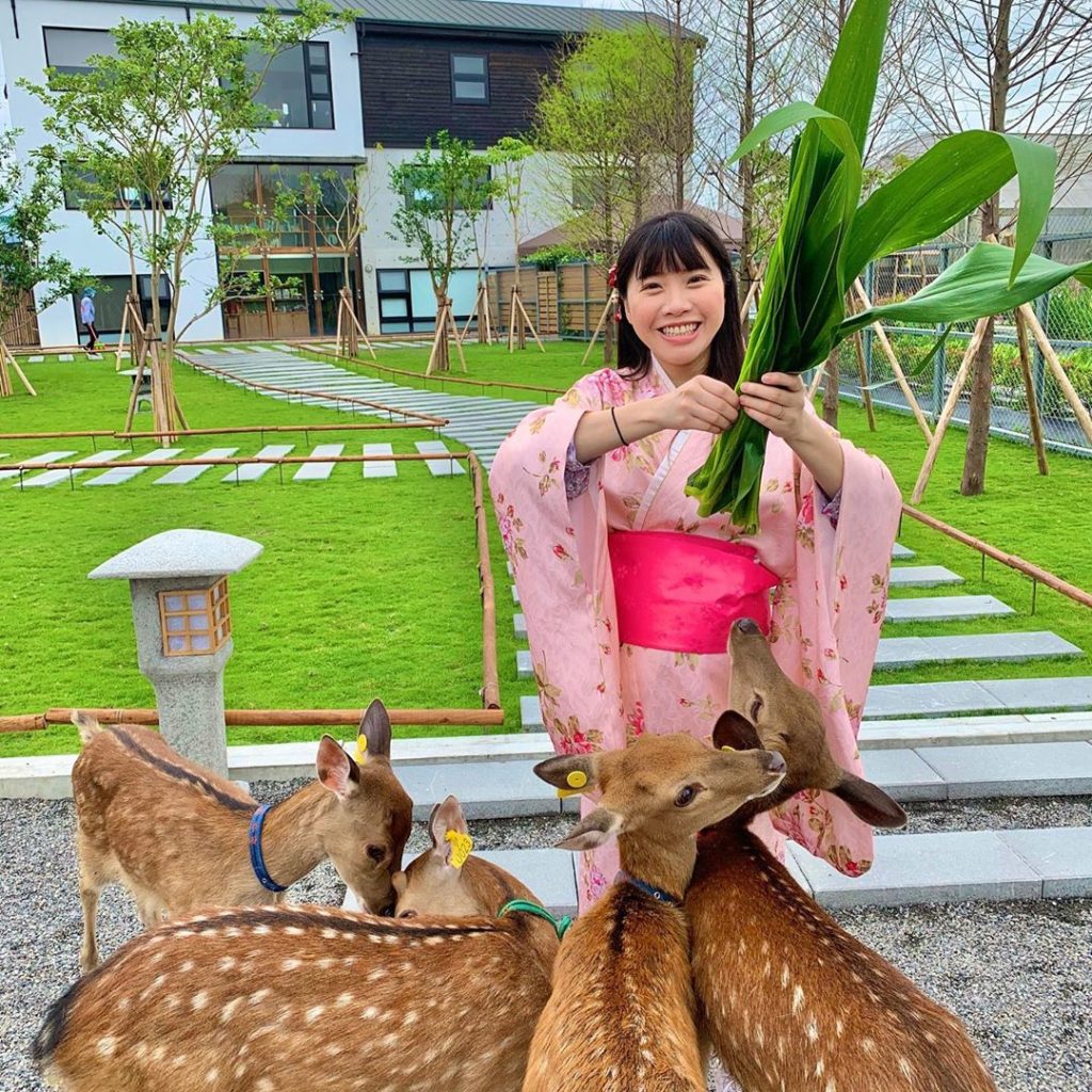 台灣梅花鹿 梅花鹿樂園 台灣梅花鹿樂園 斑比山丘 張美阿嬤農場 山腳鹿場水鹿之家 山腳鹿場 鹿羽松牧場 鹿境 鹿境梅花鹿生態園區