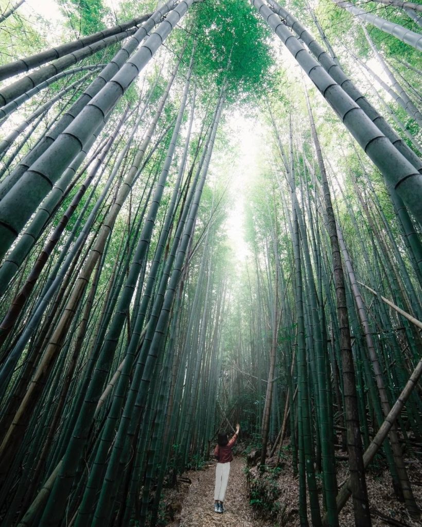 雲嶺之丘