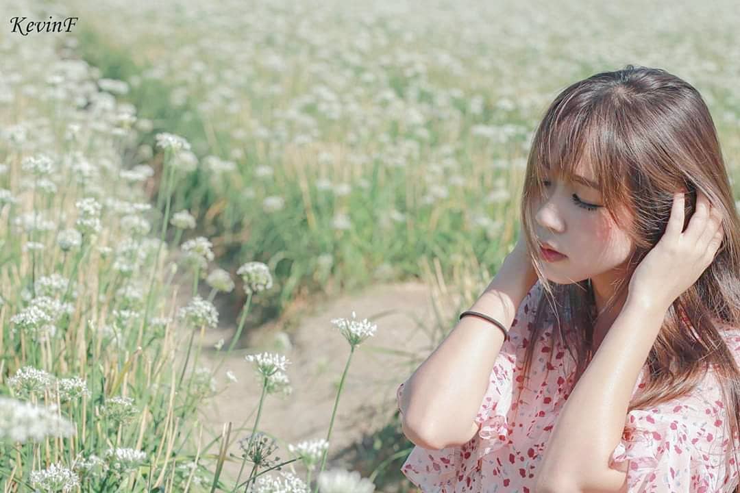 韭菜花 台灣韭菜花 桃園大溪 桃園大溪韭菜田 桃園大溪韭菜花田 台灣賞花秘境 台灣賞花 台灣賞花景點 台灣花季 台灣好去處 台灣必去 踏青好去處 台灣踏青好去處 台灣踏青 南部賞花景點 北部賞花景點 中部賞花景點