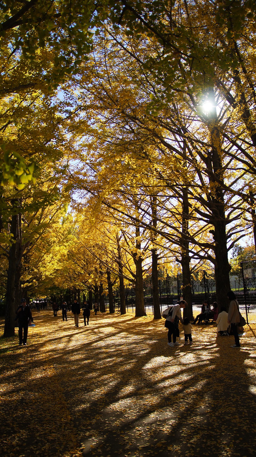 國營昭和紀念公園|日本 Japan 日本必食 日本必吃 日本必到 日本必去 日本必買 日本必掃 日本自由行 日本行程 日本行程包 日本懶人包 日本好去處 日本景點 日本必到景點 日本必去景點 日本美食 日本交通 日本攻略 日本自由行行程 日本自由行行程推薦 日本酒店 日本飯店 日本酒店推薦 日本飯店推薦 日本必住酒店 日本必住飯店 日本必食2019 日本必吃2019 日本必到2019 日本必去2019 日本必買2019 日本必掃2019 日本自由行2019 日本行程2019 日本行程包2019 日本懶人包2019 日本好去處2019 日本景點2019 日本必到景點2019 日本必去景點2019 日本美食2019 日本交通2019 日本攻略2019 日本自由行行程2019 日本自由行行程推薦2019 日本酒店2019 日本飯店2019 日本酒店推薦2019 日本飯店推薦2019 日本必住酒店2019 日本必住飯店2019 東京 Tokyo 東京必食 東京必吃 東京必到 東京必去 東京必買 東京必掃 東京自由行 東京行程 東京行程包 東京懶人包 東京好去處 東京景點 東京必到景點 東京必去景點 東京美食 東京交通 東京攻略 東京自由行行程 東京自由行行程推薦 東京酒店 東京飯店 東京酒店推薦 東京飯店推薦 東京必住酒店 東京必住飯店 東京必食2019 東京必吃2019 東京必到2019 東京必去2019 東京必買2019 東京必掃2019 東京自由行2019 東京行程2019 東京行程包2019 東京懶人包2019 東京好去處2019 東京景點2019 東京必到景點2019 東京必去景點2019 東京美食2019 東京交通2019 東京攻略2019 東京自由行行程2019 東京自由行行程推薦2019 東京酒店2019 東京飯店2019 東京酒店推薦2019 東京飯店推薦2019 東京必住酒店2019 東京必住飯店2019 明治神宮外苑 國營昭和紀念公園 光が丘公園 銀杏2019 日本銀杏 日本銀杏2019 東京銀杏 東京銀杏2019 明治神宮外苑銀杏 國營昭和紀念公園銀杏 光が丘公園銀杏 明治神宮外苑銀杏2019 國營昭和紀念公園銀杏2019 光が丘公園銀杏2019 國營昭和紀念公園2019 國營昭和紀念公園銀杏2018 國營昭和紀念公園3月 國營昭和紀念公園10月 國營昭和紀念公園粉蝶花 昭和紀念公園櫻花2019 國營昭和紀念公園12月 昭和紀念公園櫻花2018 國營昭和紀念公園點燈 昭和紀念公園近期活動