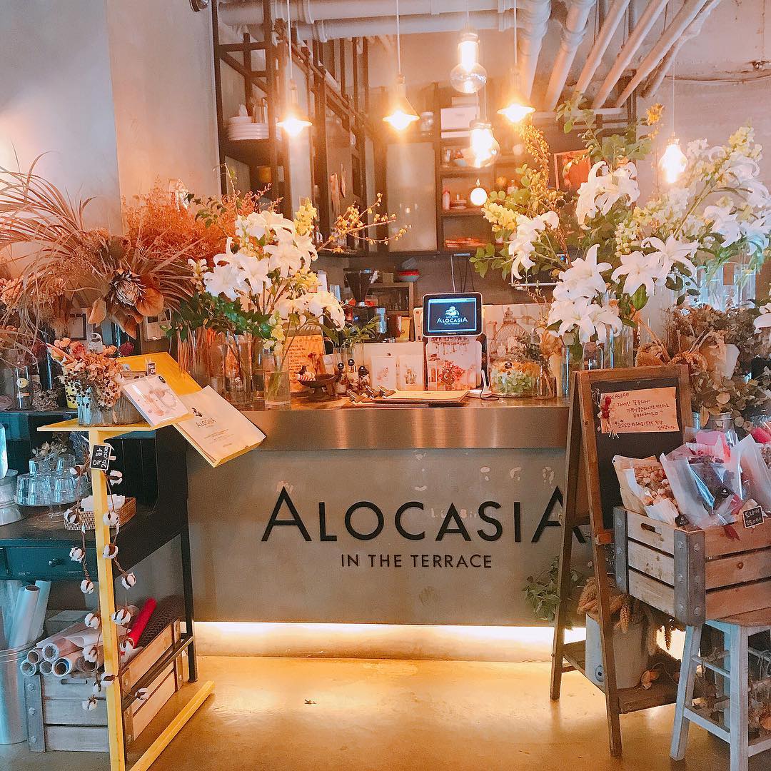 Alocasia in the Terrance 알로카시아인더테라스 跟住馬家過聖誕遊首爾 跟住馬家過聖誕 首爾 首爾cafe 望理團街 梨泰院 弘大 首爾花花cafe 首爾花草cafe 花花cafe 花草cafe 花花主題cafe 花草主題cafe 打卡cafe 網紅cafe 首爾打卡cafe 首爾網紅cafe