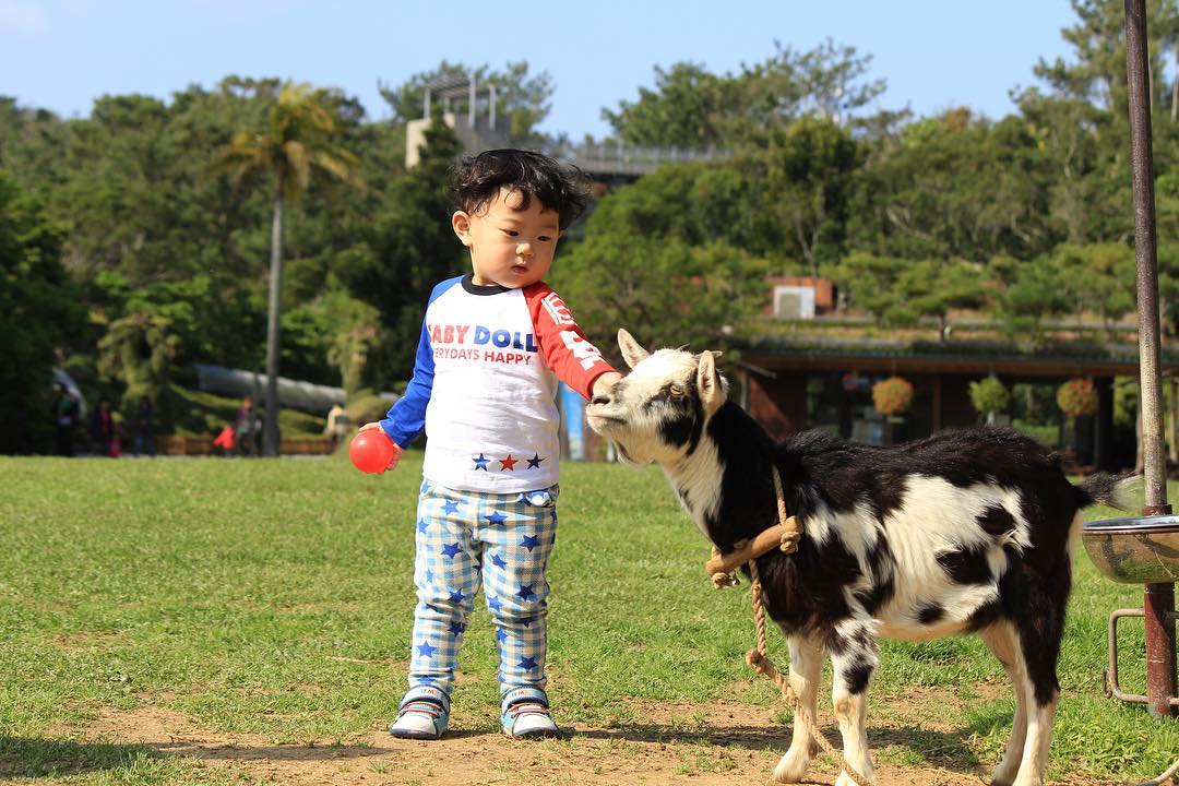 沖繩動物園 沖繩 動物園 BIOS之丘 Bios no Oka Bios Hill 石川 沖繩獨木舟 沖繩 獨木舟 沖繩親子景點 沖繩親子 沖繩親子遊 沖繩 親子 必去 沖繩北部景點 沖繩中部景點 沖繩 Okinawa 沖繩必食 沖繩必吃 沖繩必到 沖繩必去 沖繩必買 沖繩必掃 沖繩自由行 沖繩行程 沖繩行程包 沖繩懶人包 沖繩好去處 沖繩景點 沖繩必到景點 沖繩必去景點 沖繩美食 沖繩交通 沖繩攻略 沖繩自由行行程 沖繩自由行行程推薦 沖繩酒店 沖繩飯店 沖繩酒店推薦 沖繩飯店推薦 沖繩必住酒店 沖繩必住飯店 沖繩必食2019 沖繩必吃2019 沖繩必到2019 沖繩必去2019 沖繩必買2019 沖繩必掃2019 沖繩自由行2019 沖繩行程2019 沖繩行程包2019 沖繩懶人包2019 沖繩好去處2019 沖繩景點2019 沖繩必到景點2019 沖繩必去景點2019 沖繩美食2019 沖繩交通2019 沖繩攻略2019 沖繩自由行行程2019 沖繩自由行行程推薦2019 沖繩酒店2019 沖繩飯店2019 沖繩酒店推薦2019 沖繩飯店推薦2019 沖繩必住酒店2019 沖繩必住飯店2019