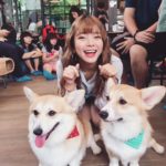 cafe Corgi in the Garden|泰國 Thailand 泰國必食 泰國必吃 泰國必到 泰國必去 泰國必買 泰國必掃 泰國自由行 行程 泰國行程包 泰國懶人包 泰國好去處 泰國景點 泰國必到景點 泰國必去景點 泰國美食 泰國交通 泰國攻略 泰國自由行行程 泰國自由行行程推薦 泰國酒店 泰國飯店 泰國酒店推薦 泰國飯店推薦 泰國必住酒店 泰國必住飯店 泰國必食2019 泰國必吃2019 泰國必到2019 泰國必去2019 泰國必買2019 泰國必掃2019 泰國自由行2019 泰國行程2019 泰國行程包2019 泰國懶人包2019 泰國好去處2019 泰國景點2019 泰國必到景點2019 泰國必去景點2019 泰國美食2019 泰國交通2019 泰國攻略2019 泰國自由行行程2019 泰國自由行行程推薦2019 泰國酒店2019 泰國飯店2019 泰國酒店推薦2019 泰國飯店推薦2019 泰國必住酒店2019 泰國必住飯店2019 曼谷 Bangkok 曼谷必食 曼谷必吃 曼谷必到 曼谷必去 曼谷必買 曼谷必掃 曼谷自由行 行程 曼谷行程包 曼谷懶人包 曼谷好去處 曼谷景點 曼谷必到景點 曼谷必去景點 曼谷美食 曼谷交通 曼谷攻略 曼谷自由行行程 曼谷自由行行程推薦 曼谷酒店 曼谷飯店 曼谷酒店推薦 曼谷飯店推薦 曼谷必住酒店 曼谷必住飯店 曼谷必食2019 曼谷必吃2019 曼谷必到2019 曼谷必去2019 曼谷必買2019 曼谷必掃2019 曼谷自由行2019 曼谷行程2019 曼谷行程包2019 曼谷懶人包2019 曼谷好去處2019 曼谷景點2019 曼谷必到景點2019 曼谷必去景點2019 曼谷美食2019 曼谷交通2019 曼谷攻略2019 曼谷自由行行程2019 曼谷自由行行程推薦2019 曼谷酒店2019 曼谷飯店2019 曼谷酒店推薦2019 曼谷飯店推薦2019 曼谷必住酒店2019 曼谷必住飯店2019 TrueLove@Neverland Little Zoo Cafe Caturday Cat Café Rabbito Cafe cafe Corgi in the Garden 動物cafe 泰國動物cafe 曼谷動物cafe 哈士奇cafe 二哈cafe 柯基cafe