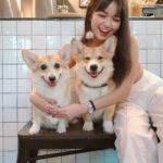 cafe Corgi in the Garden|泰國 Thailand 泰國必食 泰國必吃 泰國必到 泰國必去 泰國必買 泰國必掃 泰國自由行 行程 泰國行程包 泰國懶人包 泰國好去處 泰國景點 泰國必到景點 泰國必去景點 泰國美食 泰國交通 泰國攻略 泰國自由行行程 泰國自由行行程推薦 泰國酒店 泰國飯店 泰國酒店推薦 泰國飯店推薦 泰國必住酒店 泰國必住飯店 泰國必食2019 泰國必吃2019 泰國必到2019 泰國必去2019 泰國必買2019 泰國必掃2019 泰國自由行2019 泰國行程2019 泰國行程包2019 泰國懶人包2019 泰國好去處2019 泰國景點2019 泰國必到景點2019 泰國必去景點2019 泰國美食2019 泰國交通2019 泰國攻略2019 泰國自由行行程2019 泰國自由行行程推薦2019 泰國酒店2019 泰國飯店2019 泰國酒店推薦2019 泰國飯店推薦2019 泰國必住酒店2019 泰國必住飯店2019 曼谷 Bangkok 曼谷必食 曼谷必吃 曼谷必到 曼谷必去 曼谷必買 曼谷必掃 曼谷自由行 行程 曼谷行程包 曼谷懶人包 曼谷好去處 曼谷景點 曼谷必到景點 曼谷必去景點 曼谷美食 曼谷交通 曼谷攻略 曼谷自由行行程 曼谷自由行行程推薦 曼谷酒店 曼谷飯店 曼谷酒店推薦 曼谷飯店推薦 曼谷必住酒店 曼谷必住飯店 曼谷必食2019 曼谷必吃2019 曼谷必到2019 曼谷必去2019 曼谷必買2019 曼谷必掃2019 曼谷自由行2019 曼谷行程2019 曼谷行程包2019 曼谷懶人包2019 曼谷好去處2019 曼谷景點2019 曼谷必到景點2019 曼谷必去景點2019 曼谷美食2019 曼谷交通2019 曼谷攻略2019 曼谷自由行行程2019 曼谷自由行行程推薦2019 曼谷酒店2019 曼谷飯店2019 曼谷酒店推薦2019 曼谷飯店推薦2019 曼谷必住酒店2019 曼谷必住飯店2019 TrueLove@Neverland Little Zoo Cafe Caturday Cat Café Rabbito Cafe cafe Corgi in the Garden 動物cafe 泰國動物cafe 曼谷動物cafe 哈士奇cafe 二哈cafe 柯基cafe