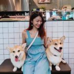 cafe Corgi in the Garden|泰國 Thailand 泰國必食 泰國必吃 泰國必到 泰國必去 泰國必買 泰國必掃 泰國自由行 行程 泰國行程包 泰國懶人包 泰國好去處 泰國景點 泰國必到景點 泰國必去景點 泰國美食 泰國交通 泰國攻略 泰國自由行行程 泰國自由行行程推薦 泰國酒店 泰國飯店 泰國酒店推薦 泰國飯店推薦 泰國必住酒店 泰國必住飯店 泰國必食2019 泰國必吃2019 泰國必到2019 泰國必去2019 泰國必買2019 泰國必掃2019 泰國自由行2019 泰國行程2019 泰國行程包2019 泰國懶人包2019 泰國好去處2019 泰國景點2019 泰國必到景點2019 泰國必去景點2019 泰國美食2019 泰國交通2019 泰國攻略2019 泰國自由行行程2019 泰國自由行行程推薦2019 泰國酒店2019 泰國飯店2019 泰國酒店推薦2019 泰國飯店推薦2019 泰國必住酒店2019 泰國必住飯店2019 曼谷 Bangkok 曼谷必食 曼谷必吃 曼谷必到 曼谷必去 曼谷必買 曼谷必掃 曼谷自由行 行程 曼谷行程包 曼谷懶人包 曼谷好去處 曼谷景點 曼谷必到景點 曼谷必去景點 曼谷美食 曼谷交通 曼谷攻略 曼谷自由行行程 曼谷自由行行程推薦 曼谷酒店 曼谷飯店 曼谷酒店推薦 曼谷飯店推薦 曼谷必住酒店 曼谷必住飯店 曼谷必食2019 曼谷必吃2019 曼谷必到2019 曼谷必去2019 曼谷必買2019 曼谷必掃2019 曼谷自由行2019 曼谷行程2019 曼谷行程包2019 曼谷懶人包2019 曼谷好去處2019 曼谷景點2019 曼谷必到景點2019 曼谷必去景點2019 曼谷美食2019 曼谷交通2019 曼谷攻略2019 曼谷自由行行程2019 曼谷自由行行程推薦2019 曼谷酒店2019 曼谷飯店2019 曼谷酒店推薦2019 曼谷飯店推薦2019 曼谷必住酒店2019 曼谷必住飯店2019 TrueLove@Neverland Little Zoo Cafe Caturday Cat Café Rabbito Cafe cafe Corgi in the Garden 動物cafe 泰國動物cafe 曼谷動物cafe 哈士奇cafe 二哈cafe 柯基cafe