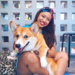 cafe Corgi in the Garden|泰國 Thailand 泰國必食 泰國必吃 泰國必到 泰國必去 泰國必買 泰國必掃 泰國自由行 行程 泰國行程包 泰國懶人包 泰國好去處 泰國景點 泰國必到景點 泰國必去景點 泰國美食 泰國交通 泰國攻略 泰國自由行行程 泰國自由行行程推薦 泰國酒店 泰國飯店 泰國酒店推薦 泰國飯店推薦 泰國必住酒店 泰國必住飯店 泰國必食2019 泰國必吃2019 泰國必到2019 泰國必去2019 泰國必買2019 泰國必掃2019 泰國自由行2019 泰國行程2019 泰國行程包2019 泰國懶人包2019 泰國好去處2019 泰國景點2019 泰國必到景點2019 泰國必去景點2019 泰國美食2019 泰國交通2019 泰國攻略2019 泰國自由行行程2019 泰國自由行行程推薦2019 泰國酒店2019 泰國飯店2019 泰國酒店推薦2019 泰國飯店推薦2019 泰國必住酒店2019 泰國必住飯店2019 曼谷 Bangkok 曼谷必食 曼谷必吃 曼谷必到 曼谷必去 曼谷必買 曼谷必掃 曼谷自由行 行程 曼谷行程包 曼谷懶人包 曼谷好去處 曼谷景點 曼谷必到景點 曼谷必去景點 曼谷美食 曼谷交通 曼谷攻略 曼谷自由行行程 曼谷自由行行程推薦 曼谷酒店 曼谷飯店 曼谷酒店推薦 曼谷飯店推薦 曼谷必住酒店 曼谷必住飯店 曼谷必食2019 曼谷必吃2019 曼谷必到2019 曼谷必去2019 曼谷必買2019 曼谷必掃2019 曼谷自由行2019 曼谷行程2019 曼谷行程包2019 曼谷懶人包2019 曼谷好去處2019 曼谷景點2019 曼谷必到景點2019 曼谷必去景點2019 曼谷美食2019 曼谷交通2019 曼谷攻略2019 曼谷自由行行程2019 曼谷自由行行程推薦2019 曼谷酒店2019 曼谷飯店2019 曼谷酒店推薦2019 曼谷飯店推薦2019 曼谷必住酒店2019 曼谷必住飯店2019 TrueLove@Neverland Little Zoo Cafe Caturday Cat Café Rabbito Cafe cafe Corgi in the Garden 動物cafe 泰國動物cafe 曼谷動物cafe 哈士奇cafe 二哈cafe 柯基cafe