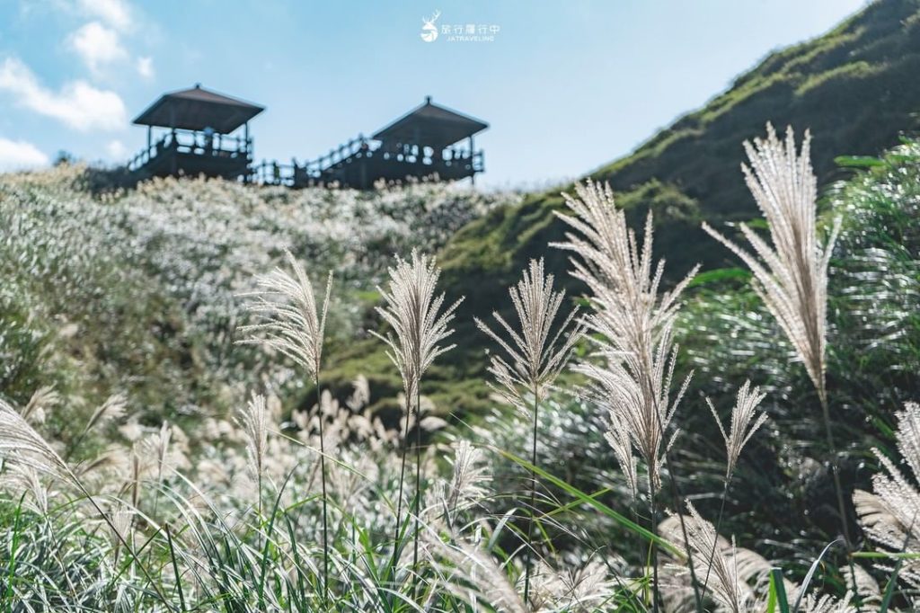 草嶺古道