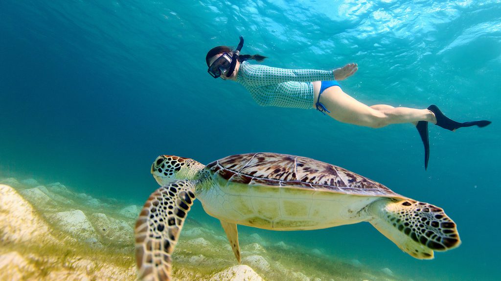 喀比必去 喀比景點 喀比必玩 喀比體驗 Krabidiving diving 喀比潛水