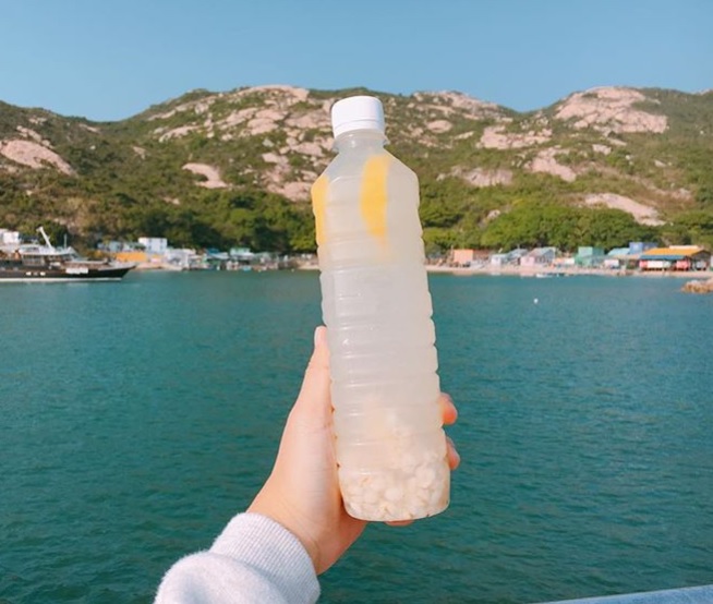 蒲台島 蒲台島一日遊 蒲台島船 蒲台島交通 蒲台島船期 蒲台島露營 蒲台島的行山路線推薦 蒲台島住宿 紫菜公仔麵 海帶綠豆沙