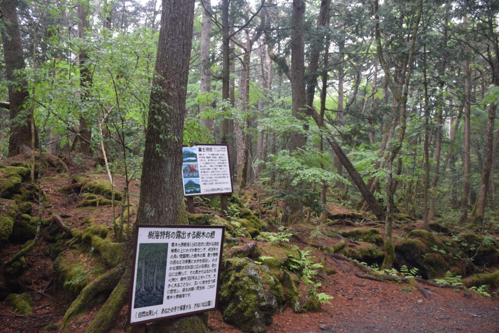 富士山 自殺森林 青木原樹海 
青木原樹海遊記 青木原樹海步道 青木原樹海入口