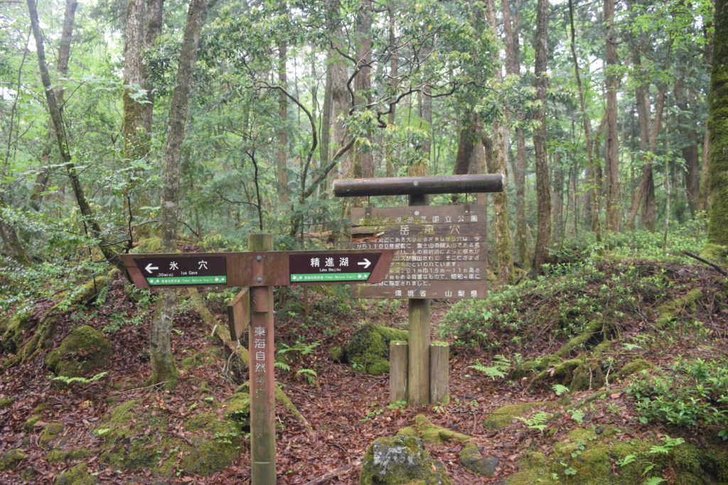 富士山 自殺森林 青木原樹海 
青木原樹海遊記 青木原樹海步道 青木原樹海入口
西湖・青木ヶ原周遊巴士
東海自然步道 精進湖 鳴澤冰穴 西沛里根場