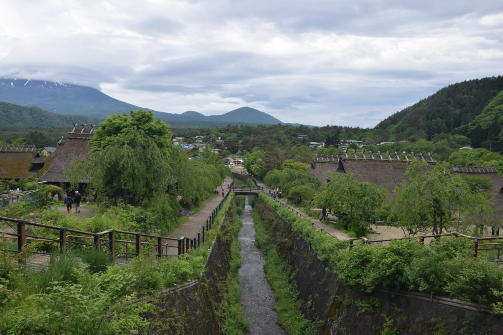 富士山 自殺森林 青木原樹海 
青木原樹海遊記 青木原樹海步道 青木原樹海入口
西湖・青木ヶ原周遊巴士
東海自然步道 精進湖 鳴澤冰穴 西沛里根場