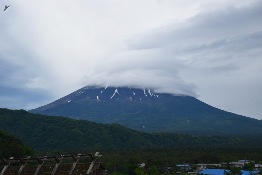 富士山 自殺森林 青木原樹海 
青木原樹海遊記 青木原樹海步道 青木原樹海入口
西湖・青木ヶ原周遊巴士
東海自然步道 精進湖 鳴澤冰穴 西沛里根場