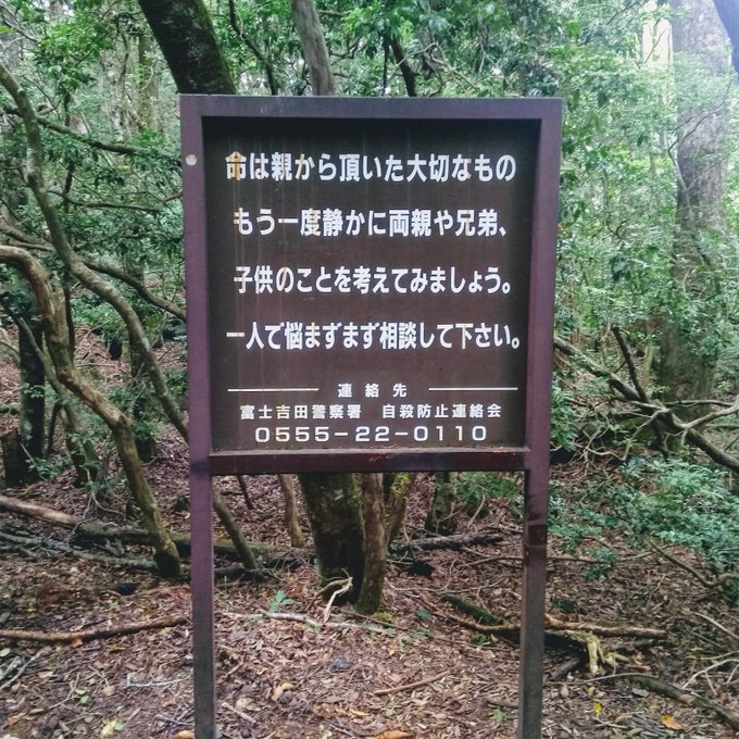 富士山 自殺森林 青木原樹海 
青木原樹海遊記 青木原樹海步道 青木原樹海入口
西湖・青木ヶ原周遊巴士
東海自然步道 精進湖 冰穴