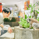 大阪親子景點 EXPOCITY NIFREL 水族館、動物園