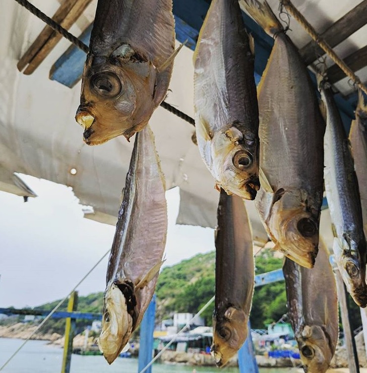 蒲台島 蒲台島一日遊 蒲台島船 蒲台島交通 蒲台島船期 蒲台島露營 蒲台島的行山路線推薦 蒲台島住宿 紫菜公仔麵 海帶綠豆沙