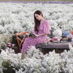 【清邁自由行】泰國女星都搶著打卡!清邁新景點I Love Flower Farm!
