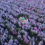 I Love Flower Farm 清邁打卡 清邁打卡景點 清邁花海 清邁花田 清邁 花 農場 清邁新景點 清邁新景點2019 清邁新景點 2019 清邁新景點2020 清邁新景點 2020 泰國新景點 泰國新景點2019 泰國新景點 2019 泰國新景點2020 泰國新景點 2020 清邁 Chiang Mai 清邁必到 清邁必去 清邁自由行 清邁行程 清邁行程包 清邁懶人包 清邁好去處 清邁景點 清邁必到景點 清邁必去景點 清邁自由行行程 清邁自由行行程推薦 清邁必到2019 清邁必去2019 清邁自由行2019 清邁行程2019 清邁行程包2019 清邁懶人包2019 清邁好去處2019 清邁景點2019 清邁必到景點2019 清邁必去景點2019
