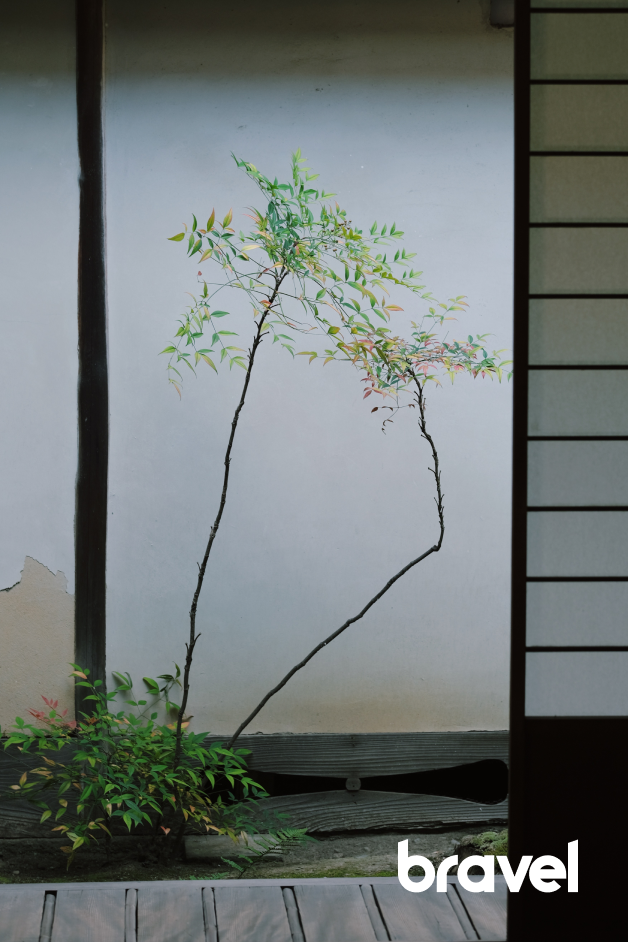 日本庭園