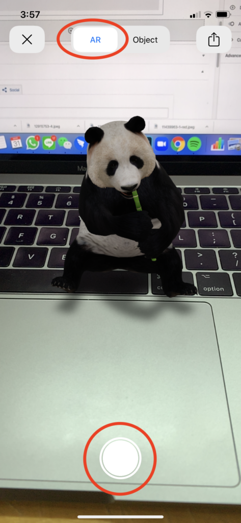 在家抗疫 Stay Home Google AR 動物