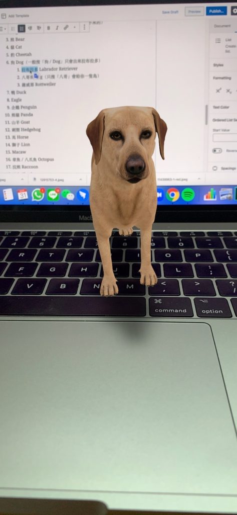 在家抗疫 Stay Home Google AR 動物