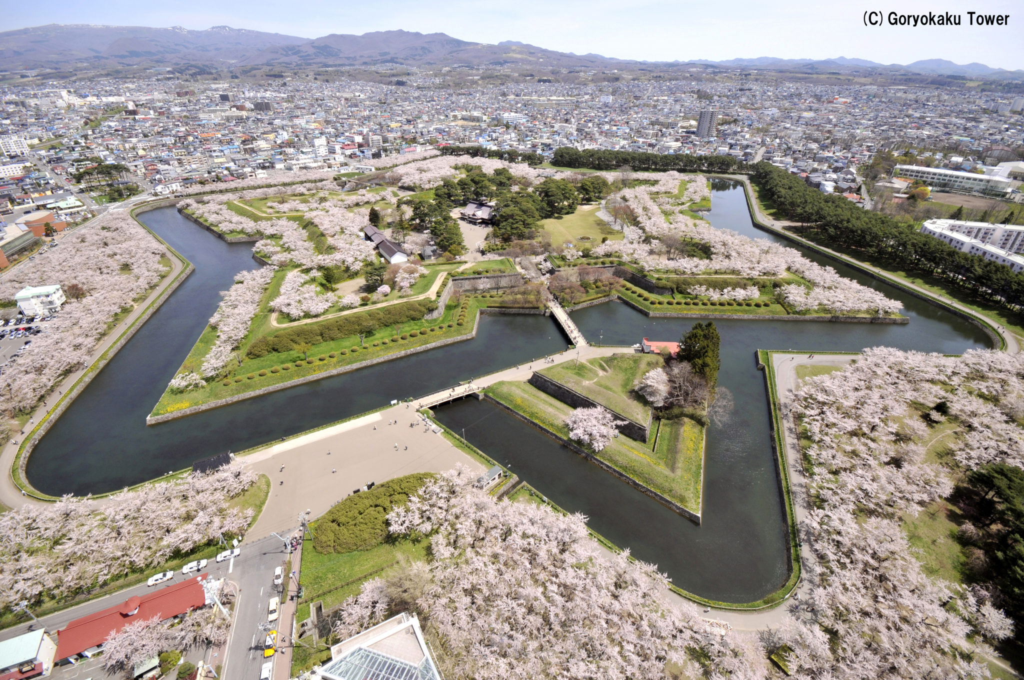 五稜郭公園 Goryokaku Park 五稜郭塔 Goryokaku Tower 五稜星之夢 五稜郭公園櫻花 五稜郭公園紅葉｜北海道 Hokkaido 北海道景點 北海道行程 北海道道南景點 函館 Hakodate 函館景點 函館交通 函館市電 函館市電一日券 函館行程 函館一日遊