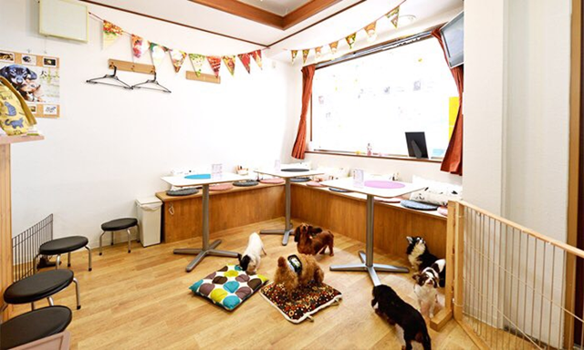 保護犬Café&Restaurant HOGOKEN