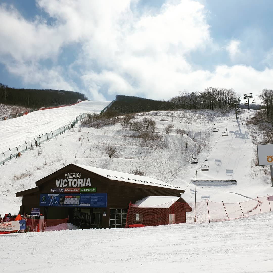 High 1 Resort Valley Ski House 하이원리조트 스키장 雪橇 Cool Rider 地藏山 白雲山 太白山 旋轉餐廳 旋轉觀景餐廳 High 1 滑雪場 SNOW PARK High 1 滑雪渡假村 High 1 渡假村滑雪場 High 1 渡假村 High one滑雪場 High one滑雪渡假村 High one渡假村滑雪場 High one渡假村 High 1滑雪場 High 1滑雪渡假村 High 1渡假村滑雪場 High 1渡假村 韓國滑雪季節 韓國滑雪推薦 韓國滑雪團比較 韓國滑雪 比較 韓國滑雪季 韓國滑雪團2019 韓國滑雪 韓國 滑雪 韓國 首爾滑雪 首爾 滑雪 韓國滑雪場 韓國滑雪團 韓國 滑雪 價錢 首爾滑雪場 釜山滑雪 釜山滑雪場 釜山 滑雪 釜山滑雪團 釜山滑雪團2019 首爾滑雪團 首爾滑雪團2019 韓國滑雪自由行 韓國滑雪渡假村 學滑雪