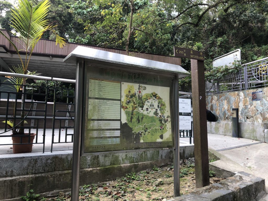 山頂行山 太平山行山 龍虎山 山頂廣場 山頂纜車 凌霄閣 山頂花園 杜莎夫人蠟像館 大富翁夢想世界 凌霄閣摩天台428 香港夜景 龍虎山郊野公園