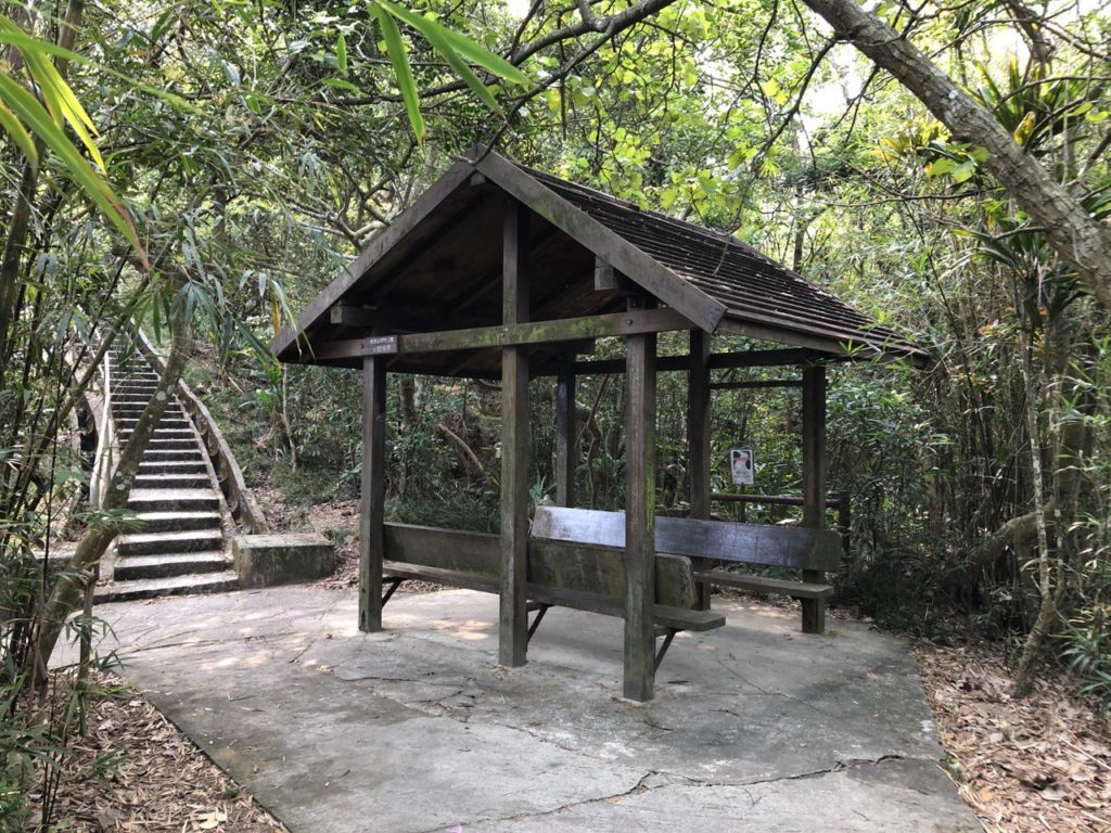 山頂行山 太平山行山 龍虎山 山頂廣場 山頂纜車 凌霄閣 山頂花園 杜莎夫人蠟像館 大富翁夢想世界 凌霄閣摩天台428 香港夜景 盧吉道