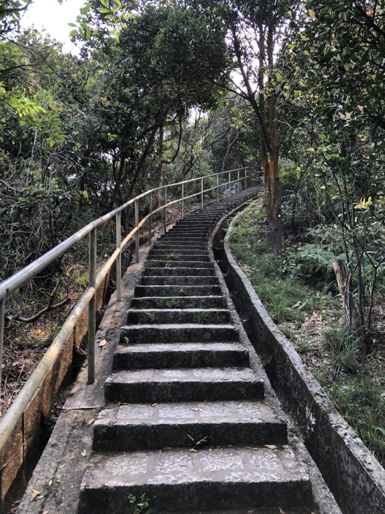 山頂行山 太平山行山 龍虎山 山頂廣場 山頂纜車 凌霄閣 山頂花園 杜莎夫人蠟像館 大富翁夢想世界 凌霄閣摩天台428 香港夜景 盧吉道