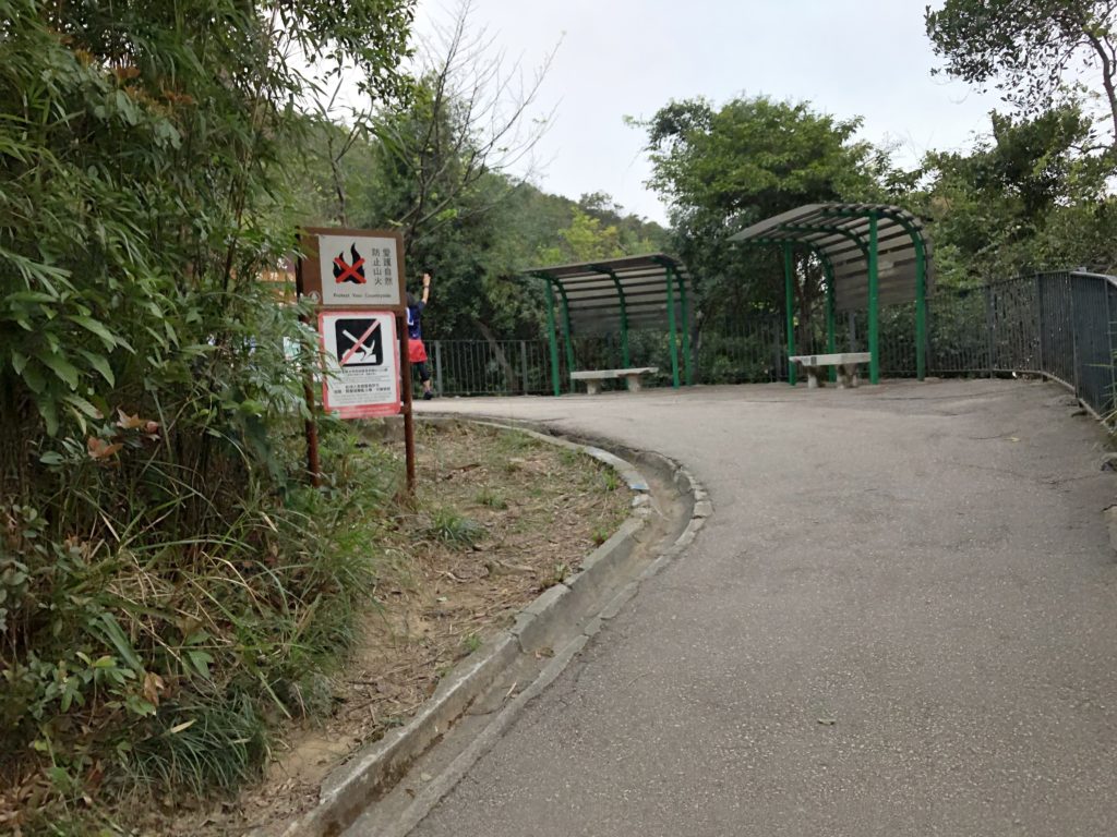 山頂行山 太平山行山 龍虎山 山頂廣場 山頂纜車 凌霄閣 山頂花園 杜莎夫人蠟像館 大富翁夢想世界 凌霄閣摩天台428 香港夜景 龍虎山郊野公園