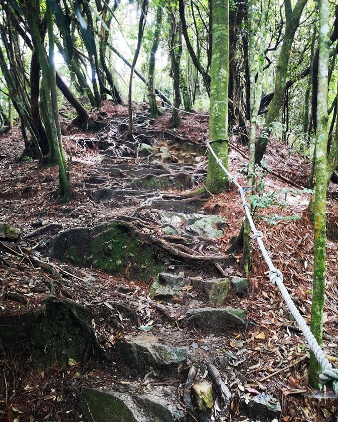 台灣登山 五寮尖登山步道 劍龍稜步道 拉繩步道 拉繩攀岩 攀岩步道 攀岩體驗 皇帝殿登山步道 登山步道 鳶嘴稍來山登山步道 孝子山步道