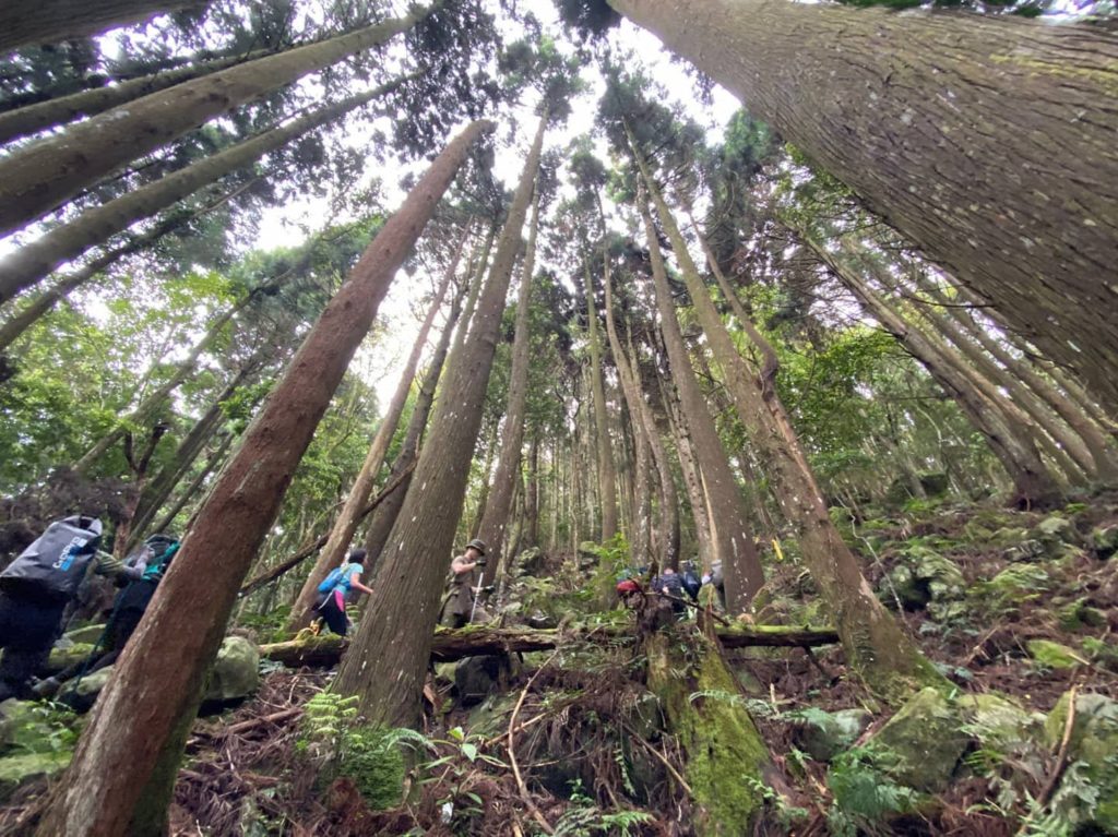 加里山
