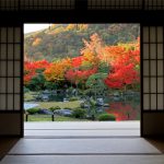 天龍寺 秋の早朝参拝 天龍寺の紅葉 天龍寺紅葉 天龍寺 紅葉 嵐山 紅葉 景點 嵐山賞楓景點 嵐山賞楓 景點 嵐山夜楓 景點 嵐山夜楓景點 嵐山楓葉景點 嵐山楓葉 景點 嵐山紅葉 紅葉 嵐山 紅葉 嵐山賞楓 嵐山夜楓 嵐山楓葉 京都紅葉2019 京都楓葉2019 京都紅葉景點2019 京都紅葉 景點2019 京都賞楓2019 京都賞楓 景點2019 京都賞楓景點2019 京都夜楓2019 京都夜楓景點2019 京都紅葉 京都楓葉 京都紅葉景點 京都紅葉 景點 京都賞楓 京都賞楓 景點 京都賞楓景點 京都夜楓 京都夜楓景點