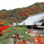 天龍寺 秋の早朝参拝 天龍寺の紅葉 天龍寺紅葉 天龍寺 紅葉 嵐山 紅葉 景點 嵐山賞楓景點 嵐山賞楓 景點 嵐山夜楓 景點 嵐山夜楓景點 嵐山楓葉景點 嵐山楓葉 景點 嵐山紅葉 紅葉 嵐山 紅葉 嵐山賞楓 嵐山夜楓 嵐山楓葉 京都紅葉2019 京都楓葉2019 京都紅葉景點2019 京都紅葉 景點2019 京都賞楓2019 京都賞楓 景點2019 京都賞楓景點2019 京都夜楓2019 京都夜楓景點2019 京都紅葉 京都楓葉 京都紅葉景點 京都紅葉 景點 京都賞楓 京都賞楓 景點 京都賞楓景點 京都夜楓 京都夜楓景點