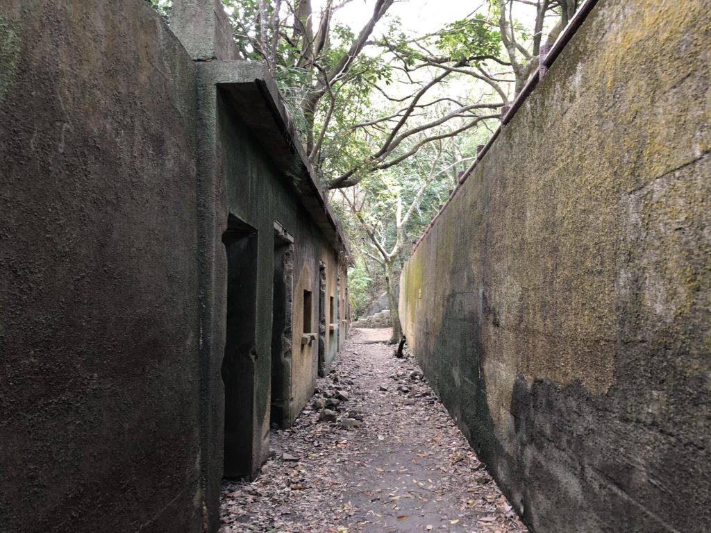 山頂行山 太平山行山 龍虎山 山頂廣場 山頂纜車 凌霄閣 山頂花園 杜莎夫人蠟像館 大富翁夢想世界 凌霄閣摩天台428 香港夜景 松林砲台