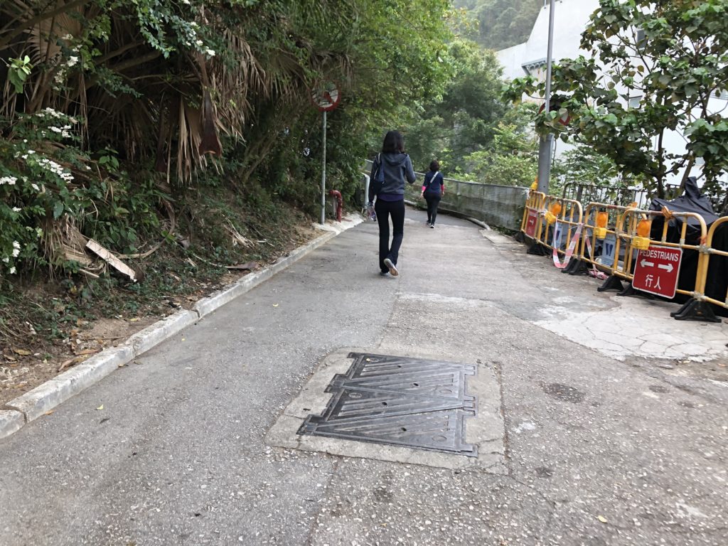 山頂行山 太平山行山 龍虎山 山頂廣場 山頂纜車 凌霄閣 山頂花園 杜莎夫人蠟像館 大富翁夢想世界 凌霄閣摩天台428 香港夜景 龍虎山晨運徑