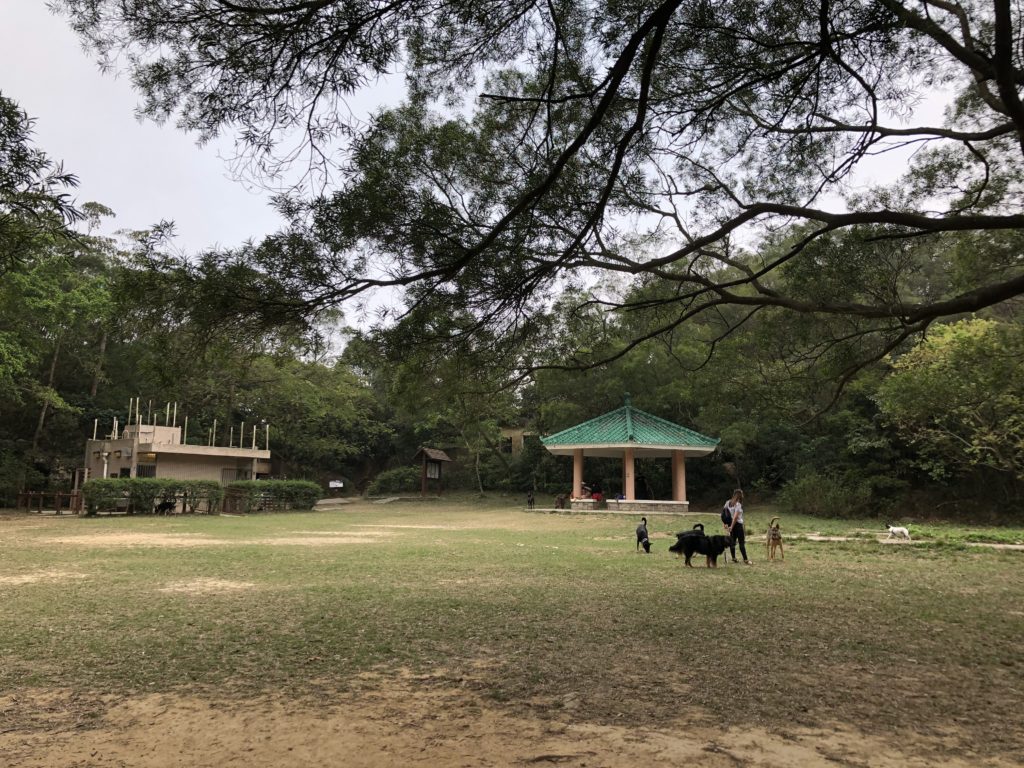 山頂行山 太平山行山 龍虎山 山頂廣場 山頂纜車 凌霄閣 山頂花園 杜莎夫人蠟像館 大富翁夢想世界 凌霄閣摩天台428 香港夜景 松林砲台