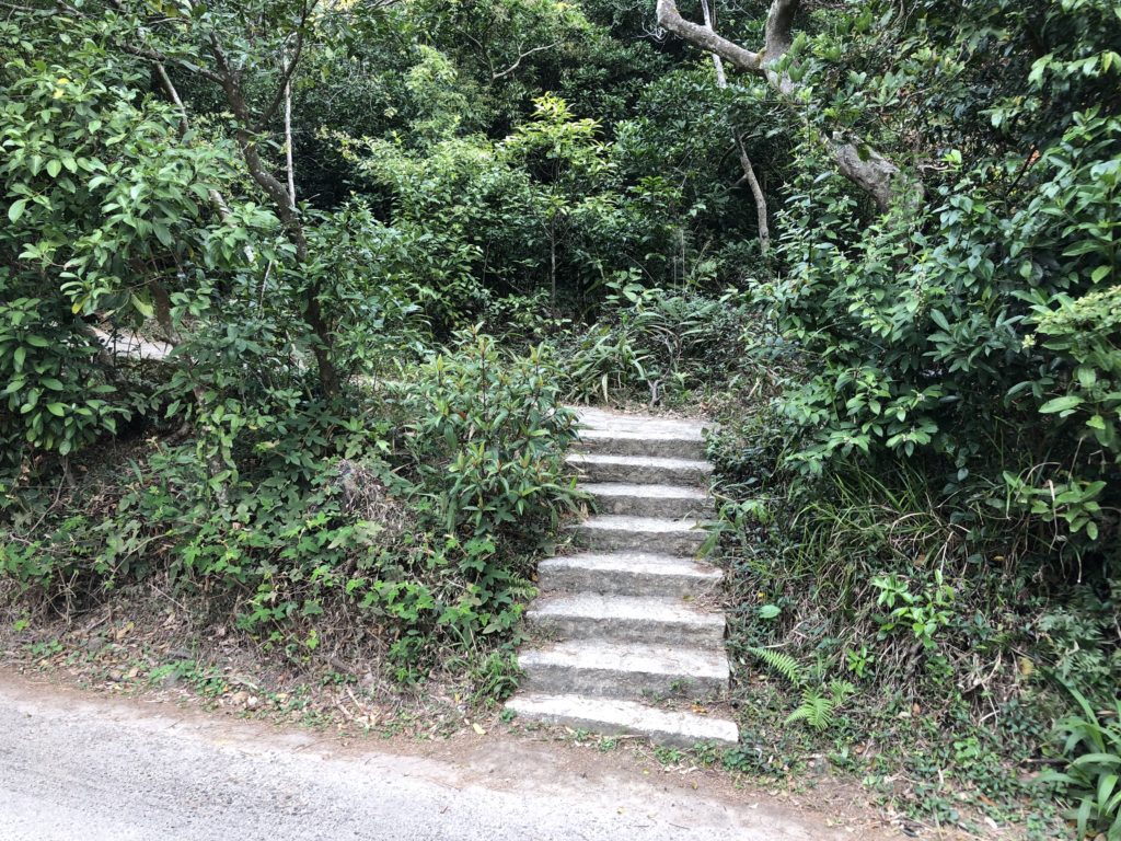 山頂行山 太平山行山 龍虎山 山頂廣場 山頂纜車 凌霄閣 山頂花園 杜莎夫人蠟像館 大富翁夢想世界 凌霄閣摩天台428 香港夜景 山頂花園