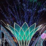 JR博多City|日本 Japan 日本必食 日本必吃 日本必到 日本必去 日本必買 日本必掃 日本自由行 日本行程 日本行程包 日本懶人包 日本好去處 日本景點 日本必到景點 日本必去景點 日本美食 日本交通 日本攻略 日本自由行行程 日本自由行行程推薦 日本酒店 日本飯店 日本酒店推薦 日本飯店推薦 日本必住酒店 日本必住飯店 日本必食2019 日本必吃2019 日本必到2019 日本必去2019 日本必買2019 日本必掃2019 日本自由行2019 日本行程2019 日本行程包2019 日本懶人包2019 日本好去處2019 日本景點2019 日本必到景點2019 日本必去景點2019 日本美食2019 日本交通2019 日本攻略2019 日本自由行行程2019 日本自由行行程推薦2019 日本酒店2019 日本飯店2019 日本酒店推薦2019 日本飯店推薦2019 日本必住酒店2019 日本必住飯店2019 九州 Kyushu 九州必食 九州必吃 九州必到 九州必去 九州必買 九州必掃 九州自由行 九州行程 九州行程包 九州懶人包 九州好去處 九州景點 九州必到景點 九州必去景點 九州美食 九州交通 九州攻略 九州自由行行程 九州自由行行程推薦 九州酒店 九州飯店 九州酒店推薦 九州飯店推薦 九州必住酒店 九州必住飯店 九州必食2019 九州必吃2019 九州必到2019 九州必去2019 九州必買2019 九州必掃2019 九州自由行2019 九州行程2019 九州行程包2019 九州懶人包2019 九州好去處2019 九州景點2019 九州必到景點2019 九州必去景點2019 九州美食2019 九州交通2019 九州攻略2019 九州自由行行程2019 九州自由行行程推薦2019 九州酒店2019 九州飯店2019 九州酒店推薦2019 九州飯店推薦2019 九州必住酒店2019 九州必住飯店2019 大分 Oita 大分必食 大分必吃 大分必到 大分必去 大分必買 大分必掃 大分自由行 大分行程 大分行程包 大分懶人包 大分好去處 大分景點 大分必到景點 大分美食 大分交通 大分攻略 大分自由行行程 大分自由行行程推薦 大分酒店 大分飯店 大分酒店推薦 大分飯店推薦 大分必住酒店 大分必住飯店 大分必食2019 大分必吃2019 大分必到2019 大分必去2019 大分必買2019 大分必掃2019 大分自由行2019 大分行程2019 大分行程包2019 大分懶人包2019 大分好去處2019 大分景點2019 大分必到景點2019 大分必去景點2019 大分美食2019 大分交通2019 大分攻略2019 大分自由行行程2019 大分自由行大分行程推薦2019 大分酒店2019 大分飯店2019 大分酒店推薦2019 大分飯店推薦2019 大分必住酒店2019 大分必住飯店2019 鹿兒島 Kagoshima 鹿兒島必食 鹿兒島必吃 鹿兒島必到 鹿兒島必去 鹿兒島必買 鹿兒島必掃 鹿兒島自由行 鹿兒島行程 鹿兒島行程包 鹿兒島懶人包 鹿兒島好去處 鹿兒島景點 鹿兒島必到景點 鹿兒島美食 鹿兒島交通 鹿兒島攻略 鹿兒島自由行行程 鹿兒島自由行行程推薦 鹿兒島酒店 鹿兒島飯店 鹿兒島酒店推薦 鹿兒島飯店推薦 鹿兒島必住酒店 鹿兒島必住飯店 鹿兒島必食2019 鹿兒島必吃2019 鹿兒島必到2019 鹿兒島必去2019 鹿兒島必買2019 鹿兒島必掃2019 鹿兒島自由行2019 鹿兒島行程2019 鹿兒島行程包2019 鹿兒島懶人包2019 鹿兒島好去處2019 鹿兒島景點2019 鹿兒島必到景點2019 鹿兒島必去景點2019 鹿兒島美食2019 鹿兒島交通2019 鹿兒島攻略2019 鹿兒島自由行行程2019 鹿兒島自由行行程推薦2019 鹿兒島酒店2019 鹿兒島飯店2019 鹿兒島酒店推薦2019 鹿兒島飯店推薦2019 鹿兒島必住酒店2019 鹿兒島必住飯店2019 長崎 Nagasaki 長崎必食 長崎必吃 長崎必到 長崎必去 長崎必買 長崎必掃 長崎自由行 長崎行程 長崎行程包 長崎懶人包 長崎好去處 長崎景點 長崎必到景點 長崎美食 長崎交通 長崎攻略 長崎自由行行程 長崎自由行行程推薦 長崎酒店 長崎飯店 長崎酒店推薦 長崎飯店推薦 長崎必住酒店 長崎必住飯店 長崎必食2019 長崎必吃2019 長崎必到2019 長崎必去2019 長崎必買2019 長崎必掃2019 長崎自由行2019 長崎行程2019 長崎行程包2019 長崎懶人包2019 長崎好去處2019 長崎景點2019 長崎必到景點2019 長崎必去景點2019 長崎美食2019 長崎交通2019 長崎攻略2019 長崎自由行行程2019 長崎自由行行程推薦2019 長崎酒店2019 長崎飯店2019 長崎酒店推薦2019 長崎飯店推薦2019 長崎必住酒店2019 長崎必住飯店2019 博多 Hakata 博多必食 博多必吃 博多必到 博多必去 博多必買 博多必掃 博多自由行 博多行程 博多行程包 博多懶人包 博多好去處 博多景點 博多必到景點 博多美食 博多交通 博多攻略 博多自由行行程 博多自由行行程推薦 博多酒店 博多飯店 博多酒店推薦 博多飯店推薦 博多必住酒店 博多必住飯店 博多必食2019 博多必吃2019 博多必到2019 博多必去2019 博多必買2019 博多必掃2019 博多自由行2019 博多行程2019 博多行程包2019 博多懶人包2019 博多好去處2019 博多景點2019 博多必到景點2019 博多必去景點2019 博多美食2019 博多交通2019 博多攻略2019 博多自由行行程2019 博多自由行行程推薦2019 博多酒店2019 博多飯店2019 博多酒店推薦2019 博多飯店推薦2019 博多必住酒店2019 博多必住飯店2019日本聖誕 日本燈飾 日本聖誕燈飾 日本聖誕2019 日本燈飾2019 日本聖誕燈飾2019 日本聖誕2020 日本燈飾2020 日本聖誕燈飾2020 九州聖誕 九州燈飾 九州聖誕燈飾 九州聖誕2019 九州燈飾2019 九州聖誕燈飾2019 九州聖誕2020 九州燈飾2020 九州聖誕燈飾2020 北九州 北九州聖誕 北九州燈飾 北九州聖誕燈飾 北九州聖誕2019 北九州燈飾2019 北九州聖誕燈飾2019 北九州聖誕2020 北九州燈飾2020 北九州聖誕燈飾2020 南九州 南九州聖誕 南九州燈飾 南九州聖誕燈飾 南九州聖誕2019 南九州燈飾2019 南九州聖誕燈飾2019 南九州聖誕2020 南九州燈飾2020 南九州聖誕燈飾2020 豪斯登堡聖誕 豪斯登堡燈飾 豪斯登堡聖誕燈飾 豪斯登堡聖誕2019 豪斯登堡燈飾2019 豪斯登堡聖誕燈飾2019 豪斯登堡聖誕2020 豪斯登堡燈飾2020 豪斯登堡聖誕燈飾2020 JR博多City聖誕 JR博多City燈飾 JR博多City聖誕燈飾 JR博多City聖誕2019 JR博多City燈飾2019 JR博多City聖誕燈飾2019 JR博多City聖誕2020 JR博多City燈飾2020 JR博多City聖誕燈飾2020 PARK PLACE OITA聖誕 PARK PLACE OITA燈飾 PARK PLACE OITA聖誕燈飾 PARK PLACE OITA聖誕2019 PARK PLACE OITA燈飾2019 PARK PLACE OITA聖誕燈飾2019 PARK PLACE OITA聖誕2020 PARK PLACE OITA燈飾2020 PARK PLACE OITA聖誕燈飾2020 天文館通聖誕 天文館通燈飾 天文館通聖誕燈飾 天文館通聖誕2019 天文館通燈飾2019 天文館通聖誕燈飾2019 天文館通聖誕2020 天文館通燈飾2020 天文館通聖誕燈飾2020 光之王國・白銀世界 Wishes Wonderland 豪斯登堡 JR博多City 光之街・博多 光の街・博多 大分公園聖誕燈飾2019 パークプレイス大分 クリスマスイルミネーション2019 天文館Millionation 2020 ~點亮光之萬花筒~ 天文館ミリオネーション2020 ~イルミネーションで描く 光の万華鏡~ jr博多城amu廣場 博多阪急 博多車站官網 博多車站美食2018 博多車站uniqlo 博多0101 博多運河城uniqlo 博多車站餐廳 amu est 博多中央街