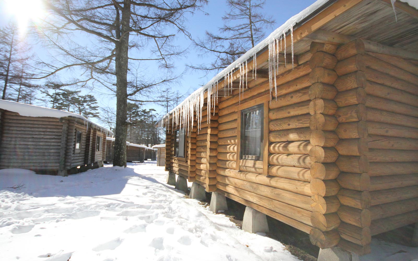 輕井澤王子大酒店東館(Karuizawa Prince Hotel East)輕井澤冬天滑雪住小木屋