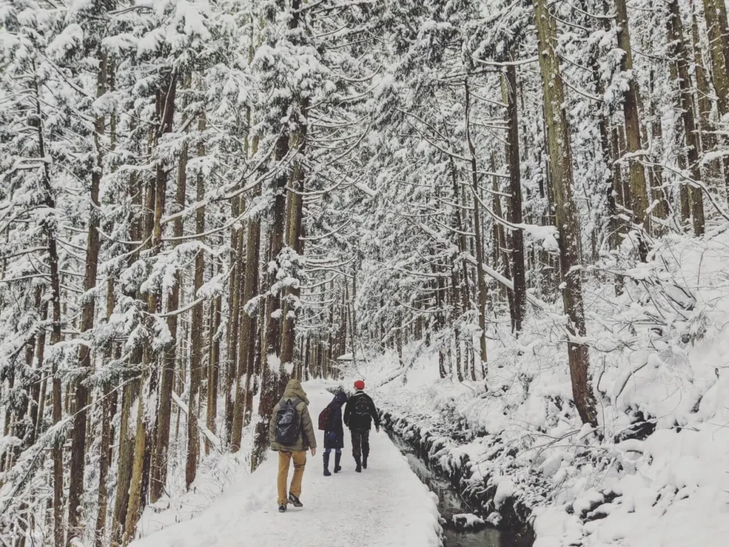 地獄谷雪猴公園