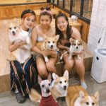 Little Zoo Cafe|泰國 Thailand 泰國必食 泰國必吃 泰國必到 泰國必去 泰國必買 泰國必掃 泰國自由行 行程 泰國行程包 泰國懶人包 泰國好去處 泰國景點 泰國必到景點 泰國必去景點 泰國美食 泰國交通 泰國攻略 泰國自由行行程 泰國自由行行程推薦 泰國酒店 泰國飯店 泰國酒店推薦 泰國飯店推薦 泰國必住酒店 泰國必住飯店 泰國必食2019 泰國必吃2019 泰國必到2019 泰國必去2019 泰國必買2019 泰國必掃2019 泰國自由行2019 泰國行程2019 泰國行程包2019 泰國懶人包2019 泰國好去處2019 泰國景點2019 泰國必到景點2019 泰國必去景點2019 泰國美食2019 泰國交通2019 泰國攻略2019 泰國自由行行程2019 泰國自由行行程推薦2019 泰國酒店2019 泰國飯店2019 泰國酒店推薦2019 泰國飯店推薦2019 泰國必住酒店2019 泰國必住飯店2019 曼谷 Bangkok 曼谷必食 曼谷必吃 曼谷必到 曼谷必去 曼谷必買 曼谷必掃 曼谷自由行 行程 曼谷行程包 曼谷懶人包 曼谷好去處 曼谷景點 曼谷必到景點 曼谷必去景點 曼谷美食 曼谷交通 曼谷攻略 曼谷自由行行程 曼谷自由行行程推薦 曼谷酒店 曼谷飯店 曼谷酒店推薦 曼谷飯店推薦 曼谷必住酒店 曼谷必住飯店 曼谷必食2019 曼谷必吃2019 曼谷必到2019 曼谷必去2019 曼谷必買2019 曼谷必掃2019 曼谷自由行2019 曼谷行程2019 曼谷行程包2019 曼谷懶人包2019 曼谷好去處2019 曼谷景點2019 曼谷必到景點2019 曼谷必去景點2019 曼谷美食2019 曼谷交通2019 曼谷攻略2019 曼谷自由行行程2019 曼谷自由行行程推薦2019 曼谷酒店2019 曼谷飯店2019 曼谷酒店推薦2019 曼谷飯店推薦2019 曼谷必住酒店2019 曼谷必住飯店2019 TrueLove@Neverland Little Zoo Cafe Caturday Cat Café Rabbito Cafe cafe Corgi in the Garden 動物cafe 泰國動物cafe 曼谷動物cafe 哈士奇cafe 二哈cafe 柯基cafe little zoo cafe預約 little zoo cafe本店 little zoo cafe分店 little zoo cafe facebook little zoo cafe siam menu little zoo cafe booking little-zoo-cafe-bangkok 2019 the animal cafe restaurant dog in town cafe 曼谷貓狗cafe