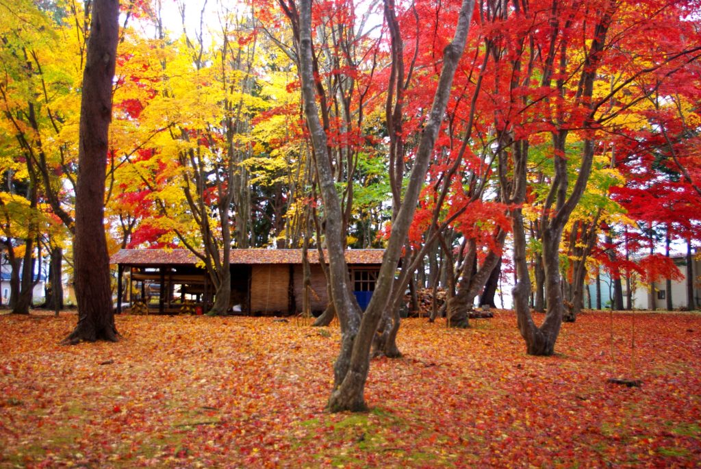 見晴公園紅葉 香雪園 北海道溫泉 函館溫泉 湯之川溫泉 湯の川温泉 湯之川温泉景點