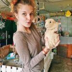 Rabbito Cafe|泰國 Thailand 泰國必食 泰國必吃 泰國必到 泰國必去 泰國必買 泰國必掃 泰國自由行 行程 泰國行程包 泰國懶人包 泰國好去處 泰國景點 泰國必到景點 泰國必去景點 泰國美食 泰國交通 泰國攻略 泰國自由行行程 泰國自由行行程推薦 泰國酒店 泰國飯店 泰國酒店推薦 泰國飯店推薦 泰國必住酒店 泰國必住飯店 泰國必食2019 泰國必吃2019 泰國必到2019 泰國必去2019 泰國必買2019 泰國必掃2019 泰國自由行2019 泰國行程2019 泰國行程包2019 泰國懶人包2019 泰國好去處2019 泰國景點2019 泰國必到景點2019 泰國必去景點2019 泰國美食2019 泰國交通2019 泰國攻略2019 泰國自由行行程2019 泰國自由行行程推薦2019 泰國酒店2019 泰國飯店2019 泰國酒店推薦2019 泰國飯店推薦2019 泰國必住酒店2019 泰國必住飯店2019 曼谷 Bangkok 曼谷必食 曼谷必吃 曼谷必到 曼谷必去 曼谷必買 曼谷必掃 曼谷自由行 行程 曼谷行程包 曼谷懶人包 曼谷好去處 曼谷景點 曼谷必到景點 曼谷必去景點 曼谷美食 曼谷交通 曼谷攻略 曼谷自由行行程 曼谷自由行行程推薦 曼谷酒店 曼谷飯店 曼谷酒店推薦 曼谷飯店推薦 曼谷必住酒店 曼谷必住飯店 曼谷必食2019 曼谷必吃2019 曼谷必到2019 曼谷必去2019 曼谷必買2019 曼谷必掃2019 曼谷自由行2019 曼谷行程2019 曼谷行程包2019 曼谷懶人包2019 曼谷好去處2019 曼谷景點2019 曼谷必到景點2019 曼谷必去景點2019 曼谷美食2019 曼谷交通2019 曼谷攻略2019 曼谷自由行行程2019 曼谷自由行行程推薦2019 曼谷酒店2019 曼谷飯店2019 曼谷酒店推薦2019 曼谷飯店推薦2019 曼谷必住酒店2019 曼谷必住飯店2019 TrueLove@Neverland Little Zoo Cafe Caturday Cat Café Rabbito Cafe cafe Corgi in the Garden 動物cafe 泰國動物cafe 曼谷動物cafe 哈士奇cafe 二哈cafe 柯基cafe