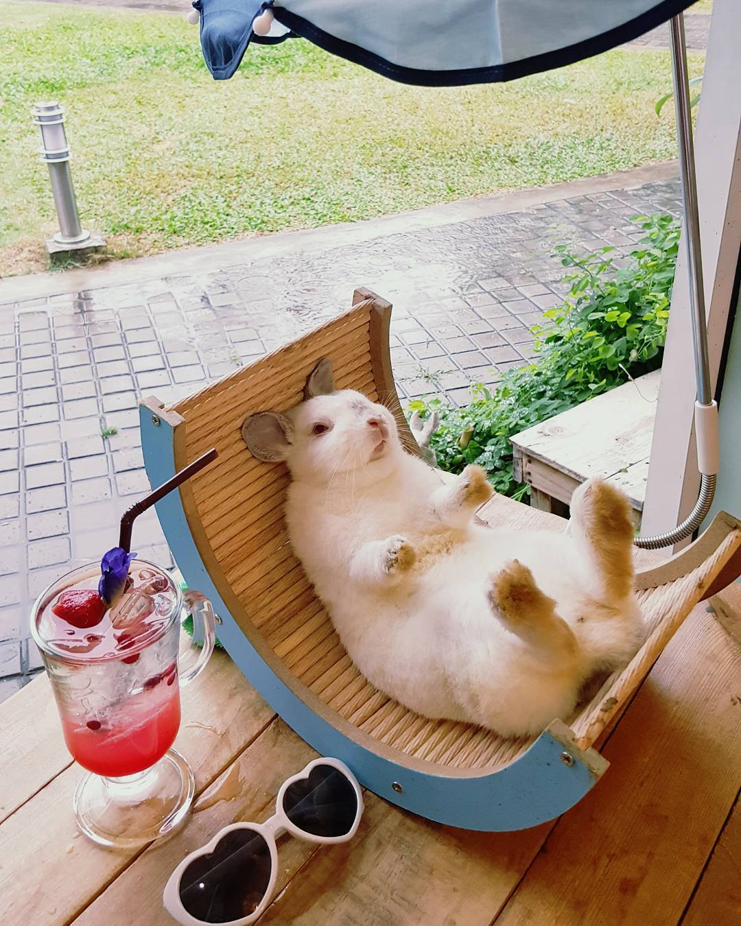 Rabbito Cafe|泰國 Thailand 泰國必食 泰國必吃 泰國必到 泰國必去 泰國必買 泰國必掃 泰國自由行 行程 泰國行程包 泰國懶人包 泰國好去處 泰國景點 泰國必到景點 泰國必去景點 泰國美食 泰國交通 泰國攻略 泰國自由行行程 泰國自由行行程推薦 泰國酒店 泰國飯店 泰國酒店推薦 泰國飯店推薦 泰國必住酒店 泰國必住飯店 泰國必食2019 泰國必吃2019 泰國必到2019 泰國必去2019 泰國必買2019 泰國必掃2019 泰國自由行2019 泰國行程2019 泰國行程包2019 泰國懶人包2019 泰國好去處2019 泰國景點2019 泰國必到景點2019 泰國必去景點2019 泰國美食2019 泰國交通2019 泰國攻略2019 泰國自由行行程2019 泰國自由行行程推薦2019 泰國酒店2019 泰國飯店2019 泰國酒店推薦2019 泰國飯店推薦2019 泰國必住酒店2019 泰國必住飯店2019 曼谷 Bangkok 曼谷必食 曼谷必吃 曼谷必到 曼谷必去 曼谷必買 曼谷必掃 曼谷自由行 行程 曼谷行程包 曼谷懶人包 曼谷好去處 曼谷景點 曼谷必到景點 曼谷必去景點 曼谷美食 曼谷交通 曼谷攻略 曼谷自由行行程 曼谷自由行行程推薦 曼谷酒店 曼谷飯店 曼谷酒店推薦 曼谷飯店推薦 曼谷必住酒店 曼谷必住飯店 曼谷必食2019 曼谷必吃2019 曼谷必到2019 曼谷必去2019 曼谷必買2019 曼谷必掃2019 曼谷自由行2019 曼谷行程2019 曼谷行程包2019 曼谷懶人包2019 曼谷好去處2019 曼谷景點2019 曼谷必到景點2019 曼谷必去景點2019 曼谷美食2019 曼谷交通2019 曼谷攻略2019 曼谷自由行行程2019 曼谷自由行行程推薦2019 曼谷酒店2019 曼谷飯店2019 曼谷酒店推薦2019 曼谷飯店推薦2019 曼谷必住酒店2019 曼谷必住飯店2019 TrueLove@Neverland Little Zoo Cafe Caturday Cat Café Rabbito Cafe cafe Corgi in the Garden 動物cafe 泰國動物cafe 曼谷動物cafe 哈士奇cafe 二哈cafe 柯基cafe