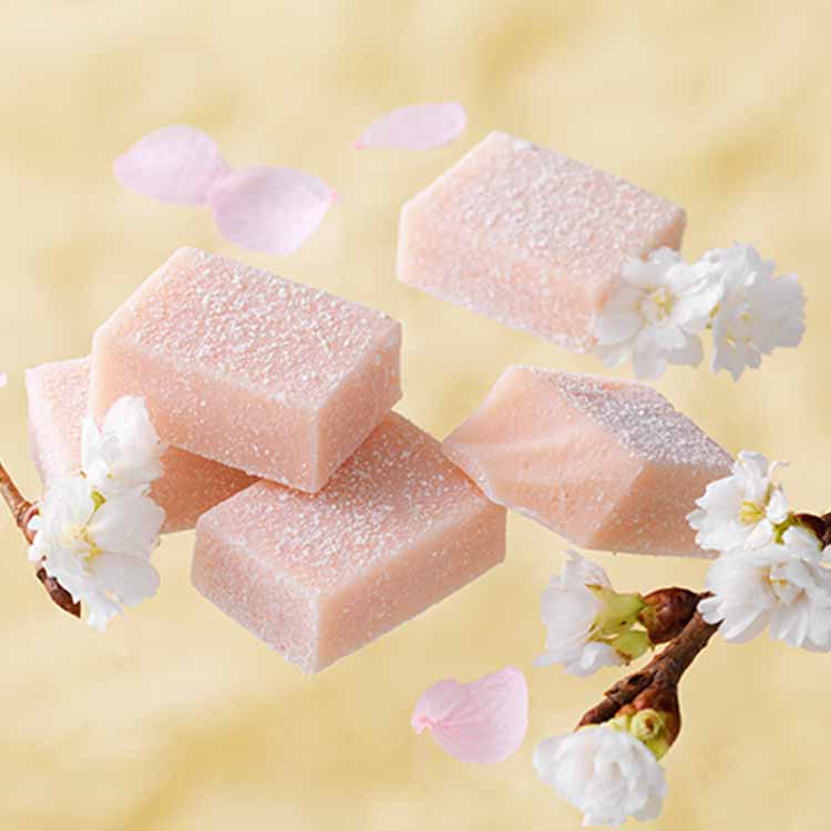Royce 櫻花味生巧克力 櫻花味生朱古力 大阪必買 大阪手信